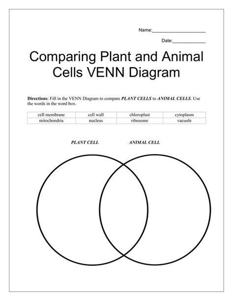 The vocabulary used incorporates content form previous lessons. Plant Cells Vs Animal Cells Venn Diagram - Ekerekizul