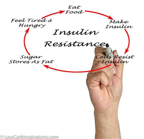 Insulin resistance (ir) is a pathological condition in which cells fail to. Insulin Resistance (What you need to know to fix it ...