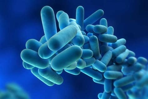 Legionellose die legionellose ist eine infektionskrankheit, die durch bakterien der gattung legionella (legionellen) hervorgerufen wird und die mit antibiotika meist gut behandelt werden kann. Les cas de légionellose à La Réunion doivent-ils inquiéter ...