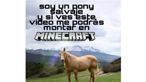 El macho mira a la hembra en celo y relincha para. Cómo montar a un caballo en MINECRAFT - YouTube