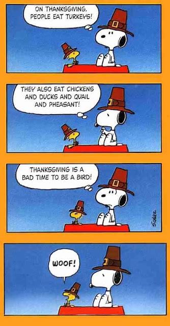 We have so much to be thankful for.like, disney! Snoopy And Woodstock Thanksgiving Pictures, Photos, and ...