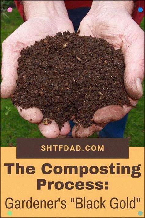 The organic way of controlling pest basically means the products and services that you are using to fight pests in your garden doesn't i can always feel your frustration while you spot a bug in your favorite vegetables for which you have spent so many hours in the sun. Learning The Composting Process, The Gardeners Black Gold ...