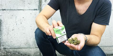 Can you buy them from the same vendors that sell cbd oil? Swiss legal cigarettes rich in CBD • Potpigeon | Delivery ...
