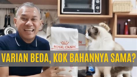 Check spelling or type a new query. Makanan Kucing Royal Canin | Review Lengkap 3 Varian - YouTube