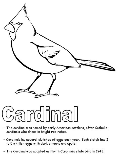 We did not find results for: Cardinal coloring page