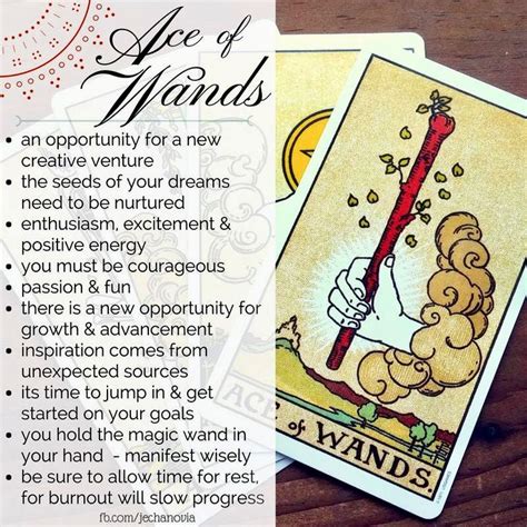 We did not find results for: ACE OF WANDS | Tarot card meanings, Tarot learning, Tarot card readers