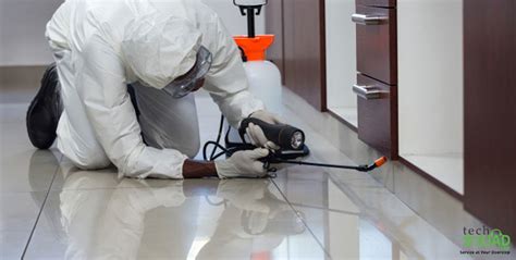 We are into service from almost 8 years having a very rich experience in this field. Best Pricing for Affordable and Reliable Pest Control ...