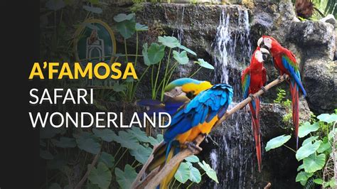 Inside, you'll get to see all sorts of animals. A'Famosa Safari Wonderland - YouTube