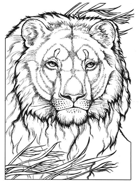 Signup to get the inside scoop from our monthly newsletters. 20 best images about Big cat coloring pages on Pinterest