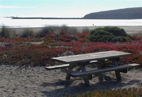 7,989′), old volcanic flows and sediments bury most of the ancient bedrock of the sierra nevada crest. The Best Camping Spots on the Northern California Coast ...