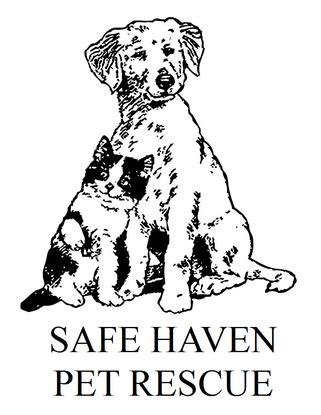 Your new nest friend is waiting! Safe Haven Pet Rescue Inc | GiveMN