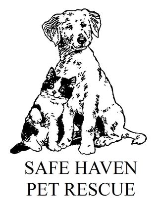 Why adopt from pet haven? Safe Haven Pet Rescue Inc | GiveMN