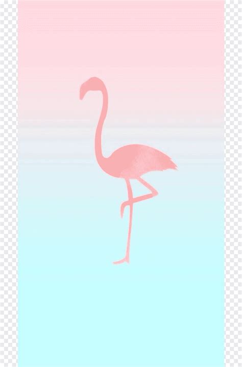 Check spelling or type a new query. التوضيح الوردي ، iPhone 6 iPhone 7 Flamingos Desktop ...