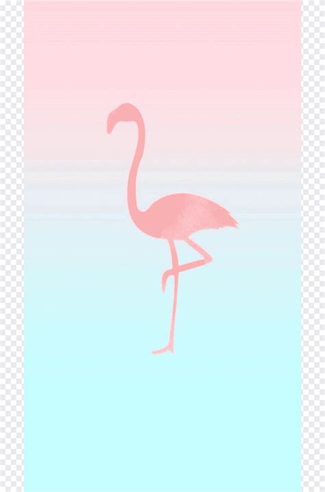 وأضاف الآلاف من الصور خلفية جديدة كل يوم. التوضيح الوردي ، iPhone 6 iPhone 7 Flamingos Desktop ...