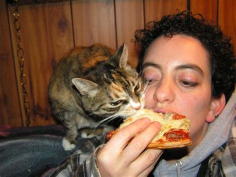 Dogs can eat just about anything, with enthusiasm. 17 Cats Eating Pizza | Eat, Eat pizza, Love pizza