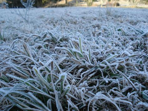 Stream geada negra, a playlist by demiangarcia from desktop or your mobile device. Geada e forte onda de frio afetam agricultura de Porto ...