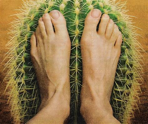 How to remove cactus needles. Нейропатическая боль у взрослых: симптомы и лечение ...