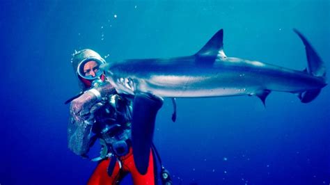 A quiet place 2 watch online australia. Valerie Taylor: Playing with Sharks | Release date and ...