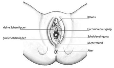 Deswegen habe ich ziemliche hemmungen, was den körperlichen kontakt mit männern angeht (noch jungfrau). MonA-Net - Forum: Body & Soul - gpunkt - Mädchen online ...