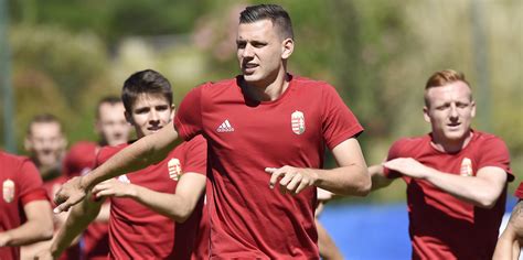 Ádám szalai celebrates with the fans after scoring a goal for hungary against austria. Szalai Ádám neurológiai vizsgálat után lehet válogatott