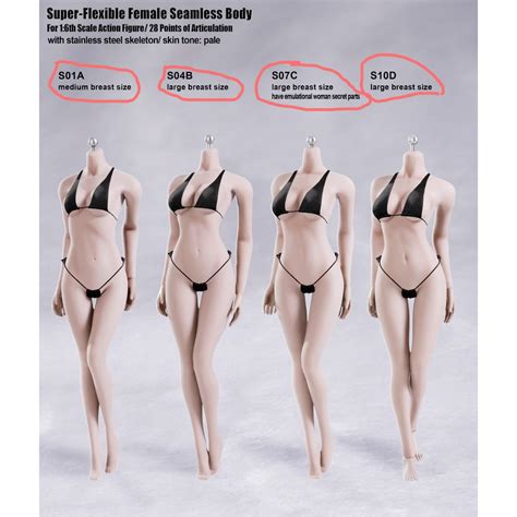 These will be filled in tomorrow, apologies we couldn't get them all done tonight). TBLeague Phicen 1/6 Female Body Fair-complexion S01A/S04B ...