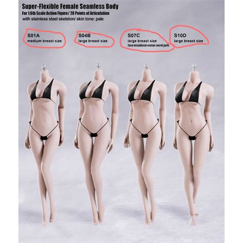 Female parts learn by taking a quiz. TBLeague Phicen 1/6 Female Body Fair-complexion S01A/S04B ...