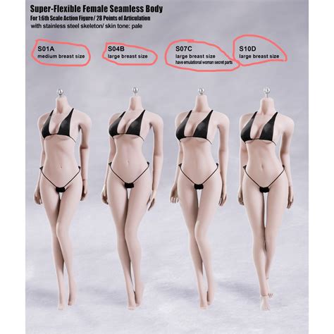 In this article what parts make up the female anatomy? TBLeague Phicen 1/6 Female Body Fair-complexion S01A/S04B ...