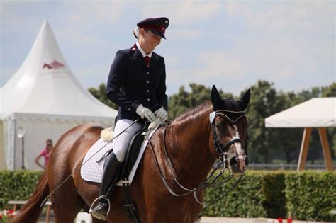 It's worth a good look around. Do women and men ride differently? If so, horses cannot ...