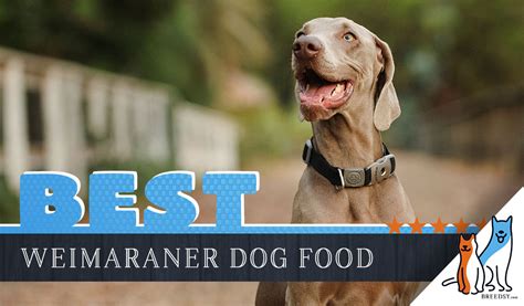 A safe bet is often just to check what formulas the top dog food brands offer. 6 Best Weimaraner Dog Foods Plus Top Brands for Puppies ...