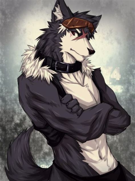 Oct 26 2018 explore karma porter s board hair colour in anime usually relates to a certain characteristic and white is no exception. Artist: kiba-wolf | Furry wolf, Furry drawing, Furry art