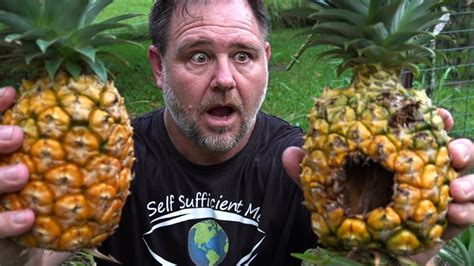 Stop PINEAPPLE Damage & What's with Pull Apart Peel? - YouTube