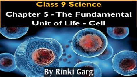 Basic introduction of cell for class-9 biology - YouTube