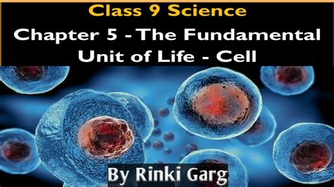 All these work together to perform specific functions that are needed for. Basic introduction of cell for class-9 biology - YouTube