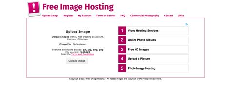 Many of the photo sharing sites hold the community of experts in your field (e.g., photography, art, design, creativity, etc.) who can help. 10 Free Image Hosting Sites for Your Photos