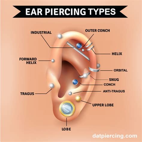 Maybe you would like to learn more about one of these? The Different Types of Ear Piercing and Their Names - Dat ...