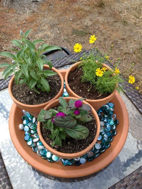 Check spelling or type a new query. Tabletop gardening this summer. | Succulents, Plants, Garden