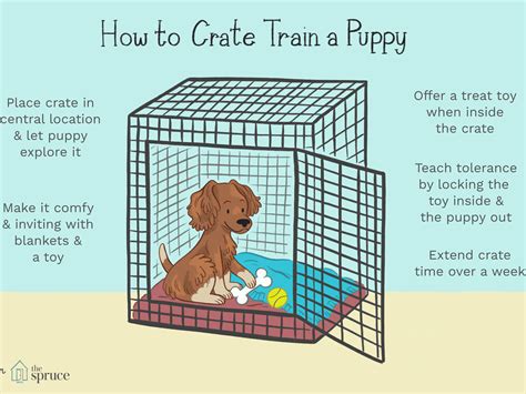 The good news is — there's a lot you can do to nip the crate whining in the bud, so it doesn't become a leaving a puppy in their crate for long periods or putting it there too frequently can be a trigger for whining and crying. Crate Training Adult Dog Guide 2019 Solving Common Pet Cage