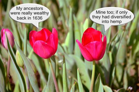 Legal tender is also regarded as national pride and a sign of sovereignty. Strains of Cryptocurrency: Legal Tender, Tokens and Tulip ...