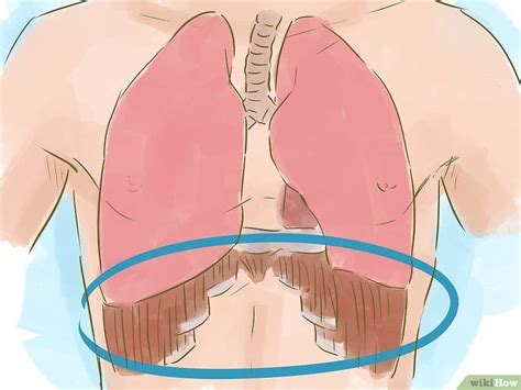 How diaphragm singing will help you? How to Sing Using Your Diaphragm: 10 Steps (with Pictures ...