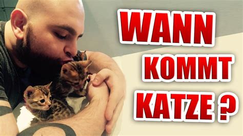 Deshalb gibt unser geburtsterminrechner dir einen zeitraum an, in dem dein kind aller. Wann kommt unsere KATZE ? - YouTube