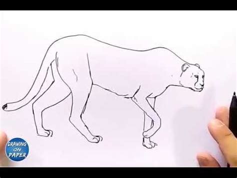 November 17, 2019 by easydrawingart. Doodle Drawing Art - How to face drawing "Cheetah" Easy drawings - (With images) | Doodle ...
