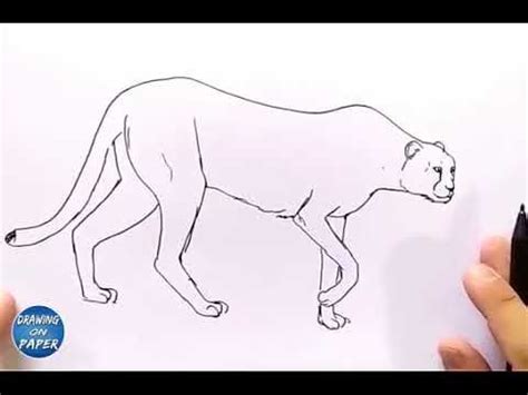 This instruction will be traditionally very simple. Doodle Drawing Art - How to face drawing "Cheetah" Easy drawings - (With images) | Doodle ...