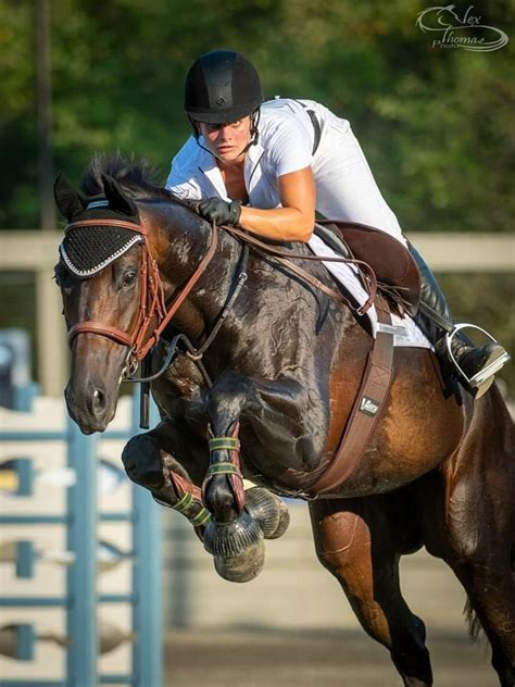 Reiten, riech in meinen stiefel, sporen geben, peitsche dich voran sklave, reite auf deinen schultern, schulterreiten, auf dem rücken, 4 beinig. Pin by Robin Easley on Horse and Human | Horse and human ...