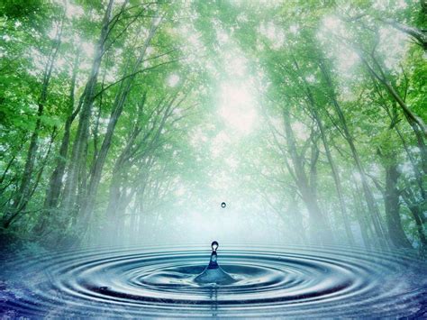 Nature Rain Wallpapers - Wallpaper Cave