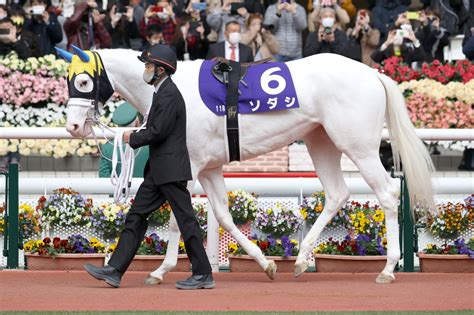 Program requires to be a user with points. ソダシ 白毛馬史上初のG1制覇で2歳女王に／阪神JF | Moment日刊 ...