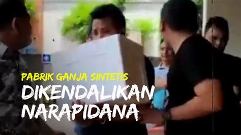 Pg gorontalo, perusahaan perkebunan di bidang industry gula dengan lokasi pabrik terpusat di gorontalo sulawesi utara. Pabrik Ganja Sintetis di Surabaya Ternyata Dikendalikan ...