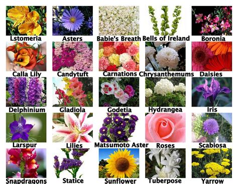 Check out our wonderful collection of fresh seasonal flowers, or visit any of the other popular floral gift pages below. Pin by Oceanside California Flowers on Seasonal flowers by ...