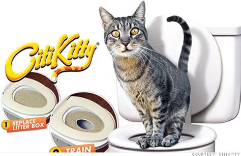 Most people fail at one step. Cat toilet-training kit makes litter-box woes go bye-bye ...