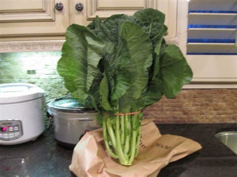 For this reason buy turnips with bright green perky leaves so that you can cook them up as a delicious free how to prepare your batch of turnips. How To Cook Southern Style Greens on the Stovetop | Recipe ...