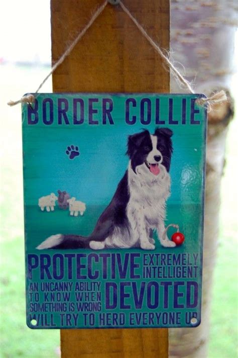 Check spelling or type a new query. Border Collie Metal Sign | Gifts for pet lovers, Pets ...